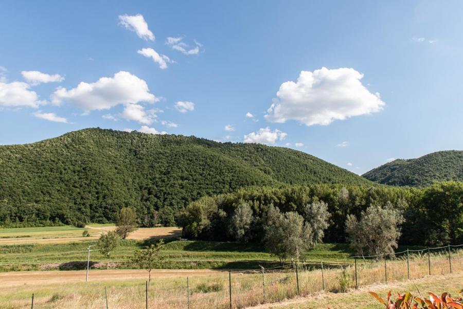 Il Colombaio Agriturismo Montegabbione Exterior photo